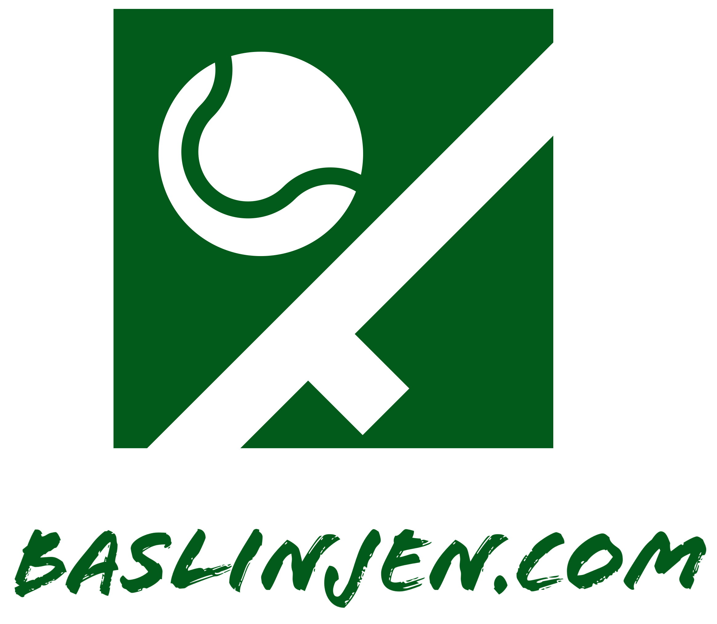 Baslinjen.Com (1)